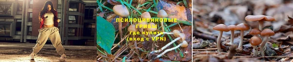эйфоретик Абдулино