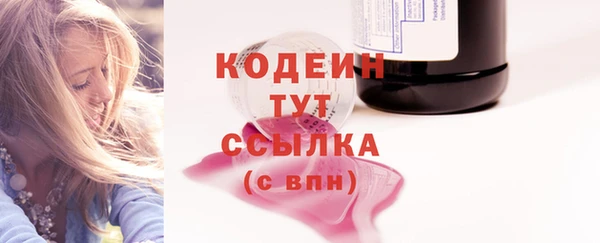 СК Пересвет