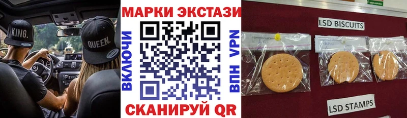 Марки N-bome 1,8мг  где купить наркоту  Котельнич 
