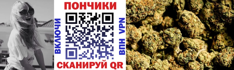 Канабис сатива  Котельнич 